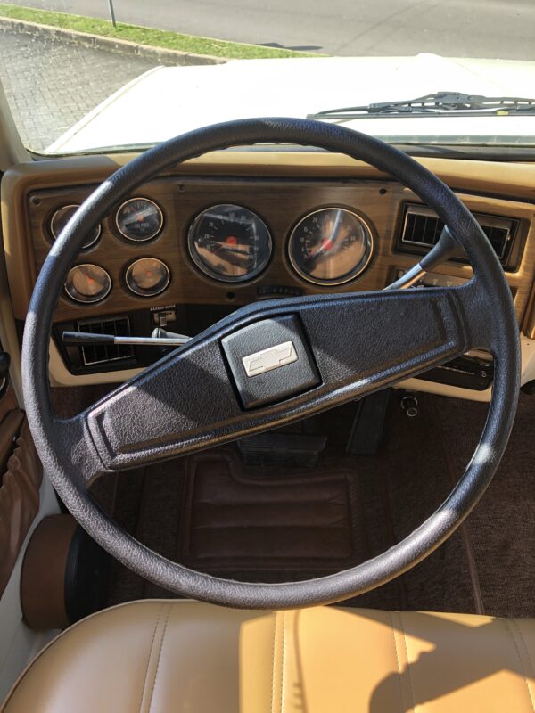 Chevrolet suburban cheyenne 1976 - Imagem 9